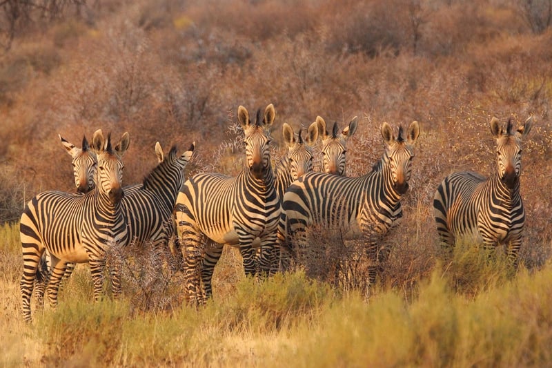 Cape Town, South Africa