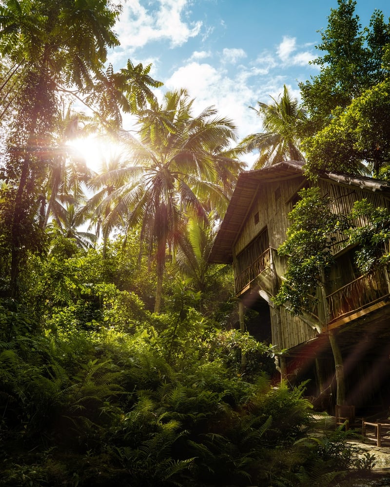 Treehouse Retreat in the Redwoods